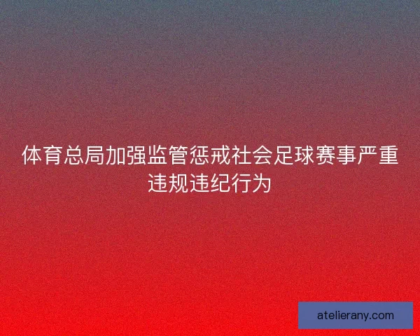 体育总局加强监管惩戒社会足球赛事严重违规违纪行为
