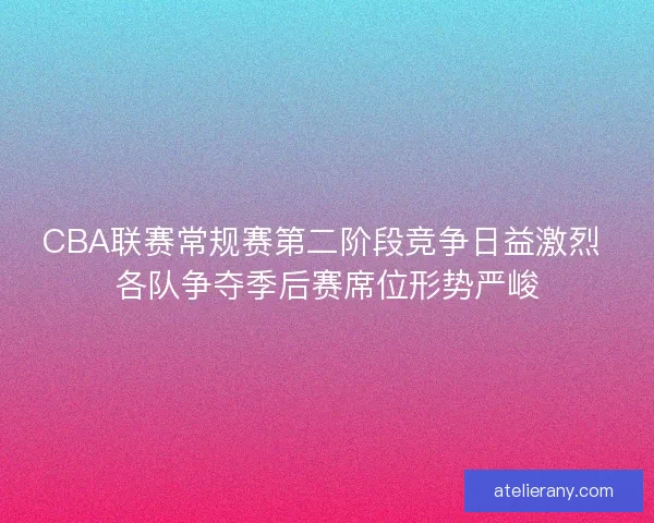 CBA联赛常规赛第二阶段竞争日益激烈 各队争夺季后赛席位形势严峻