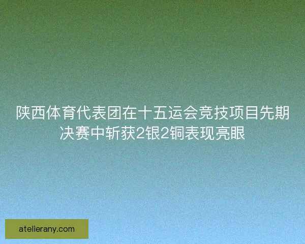 陕西体育代表团在十五运会竞技项目先期决赛中斩获2银2铜表现亮眼
