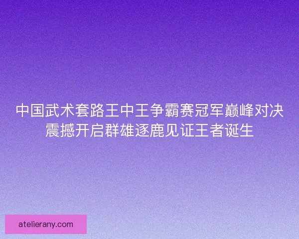 中国武术套路王中王争霸赛冠军巅峰对决震撼开启群雄逐鹿见证王者诞生